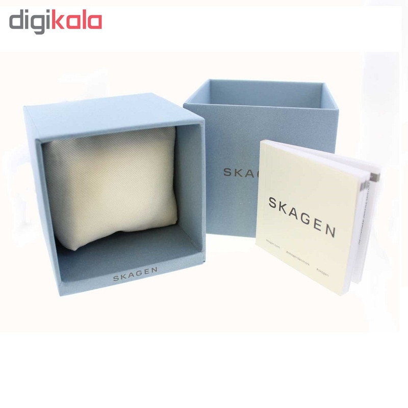 ساعت مچی عقربه ای زنانه اسکاژن دانمارک کد skw2512 - Image 5
